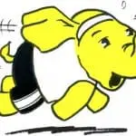Hadoop 2.0, un gran paso para Big Data