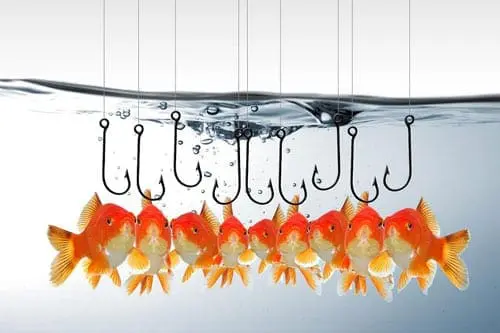 10 Pistas para reconocer un ataque informático de phishing